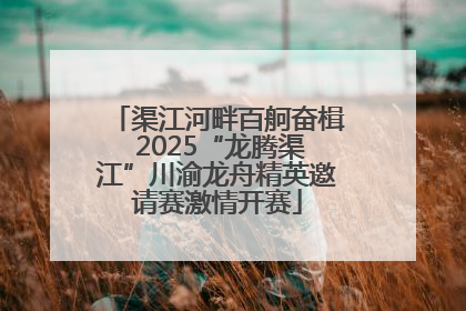 渠江河畔百舸奋楫 2025“龙腾渠江”川渝龙舟精英邀请赛激情开赛