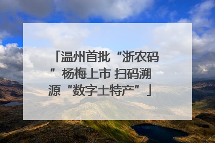 温州首批“浙农码”杨梅上市 扫码溯源“数字土特产”