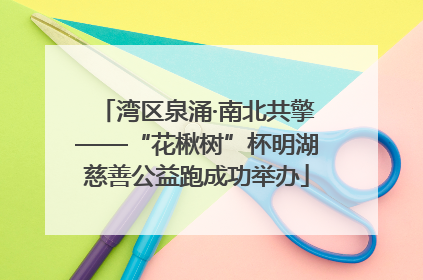 湾区泉涌·南北共擎——“花楸树”杯明湖慈善公益跑成功举办