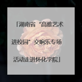 湖南省“高雅艺术进校园”交响乐专场活动走进怀化学院