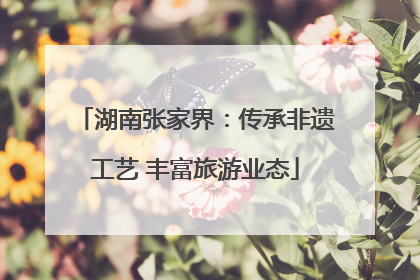 湖南张家界：传承非遗工艺 丰富旅游业态