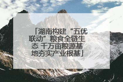 湖南构建“五优联动”粮食全链生态 千万亩粮源基地夯实产业根基
