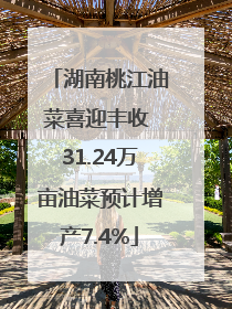 湖南桃江油菜喜迎丰收 31.24万亩油菜预计增产7.4%