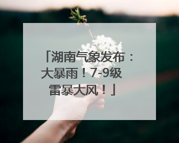 湖南气象发布：大暴雨！7-9级雷暴大风！