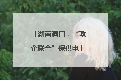 湖南洞口：“政企联合”保供电