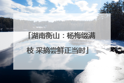湖南衡山：杨梅缀满枝 采摘尝鲜正当时