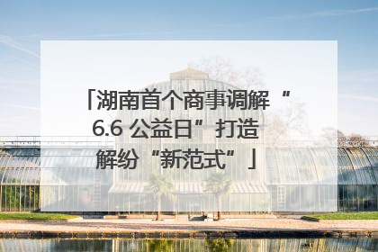 湖南首个商事调解“6.6 公益日”打造解纷“新范式”