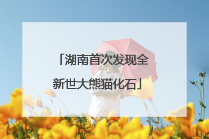 湖南首次发现全新世大熊猫化石