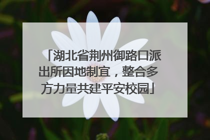 湖北省荆州御路口派出所因地制宜，整合多方力量共建平安校园