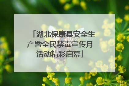 湖北保康县安全生产暨全民禁毒宣传月活动精彩启幕