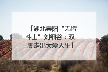 湖北崇阳“无臂斗士”刘细谷：双脚走出大爱人生