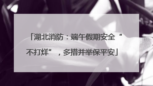 湖北消防：端午假期安全“不打烊”，多措并举保平安