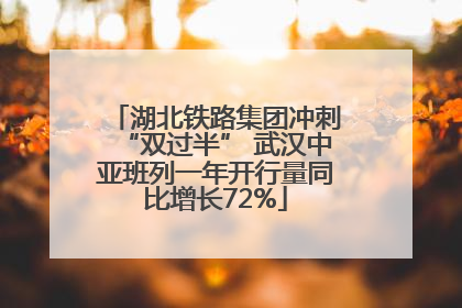 湖北铁路集团冲刺“双过半” 武汉中亚班列一年开行量同比增长72%