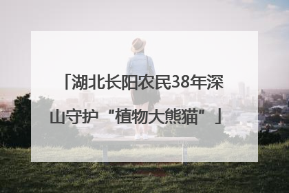 湖北长阳农民38年深山守护“植物大熊猫”
