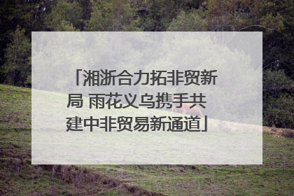 湘浙合力拓非贸新局 雨花义乌携手共建中非贸易新通道