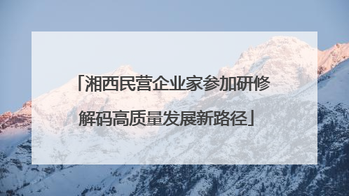 湘西民营企业家参加研修 解码高质量发展新路径