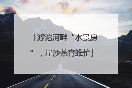 滹沱河畔“水景房”，崖沙燕育雏忙