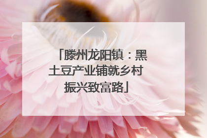 滕州龙阳镇:黑土豆产业铺就乡村振兴致富路