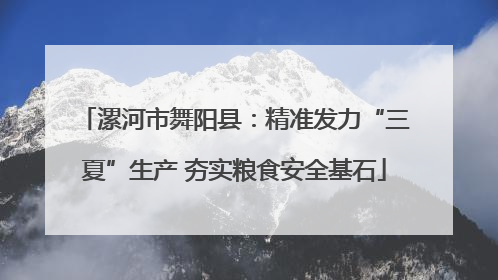 漯河市舞阳县：精准发力“三夏”生产 夯实粮食安全基石