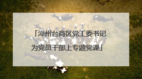 漳州台商区党工委书记为党员干部上专题党课