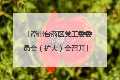 漳州台商区党工委委员会（扩大）会召开