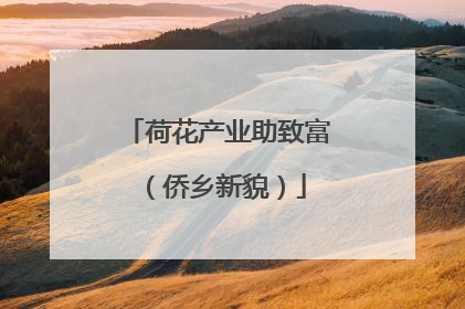 荷花产业助致富（侨乡新貌）