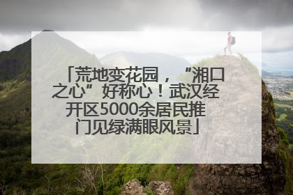 荒地变花园，“湘口之心”好称心！武汉经开区5000余居民推门见绿满眼风景