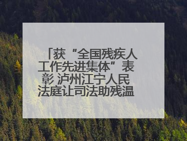 获“全国残疾人工作先进集体”表彰 泸州江宁人民法庭让司法助残温暖有力