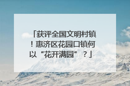 获评全国文明村镇！惠济区花园口镇何以“花开满园”？