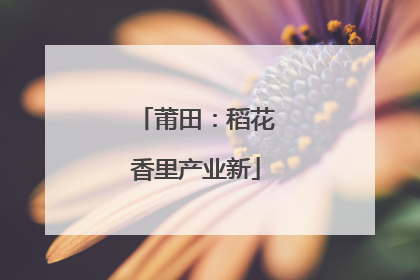 莆田：稻花香里产业新