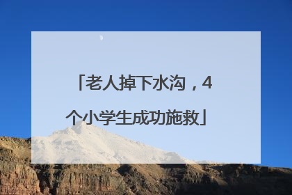 老人掉下水沟，4个小学生成功施救