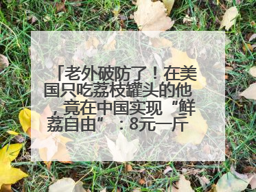 老外破防了！在美国只吃荔枝罐头的他，竟在中国实现“鲜荔自由”：8元一斤敞开吃！