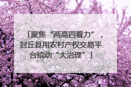 聚焦“两高四着力”，封丘县用农村产权交易平台撬动“大治理”