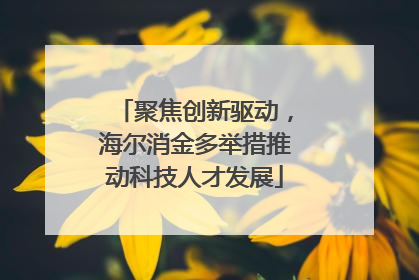 聚焦创新驱动，海尔消金多举措推动科技人才发展