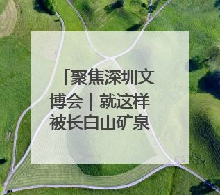 聚焦深圳文博会｜就这样被长白山矿泉水“征服”，订单纷至沓来