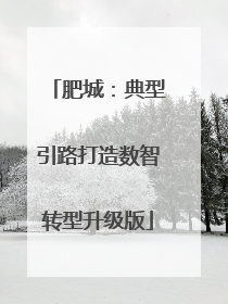 肥城：典型引路打造数智转型升级版