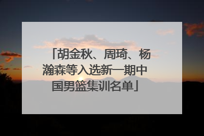 胡金秋、周琦、杨瀚森等入选新一期中国男篮集训名单