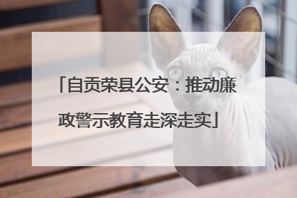 自贡荣县公安：推动廉政警示教育走深走实