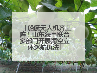船艇无人机齐上阵！山东海事联合多部门开展海空立体巡航执法