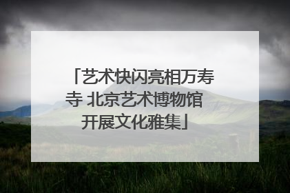 艺术快闪亮相万寿寺 北京艺术博物馆开展文化雅集