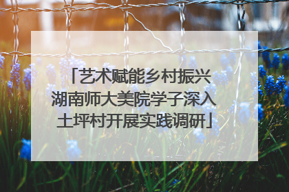 艺术赋能乡村振兴 湖南师大美院学子深入土坪村开展实践调研