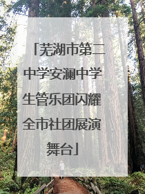 芜湖市第二中学安澜中学生管乐团闪耀全市社团展演舞台