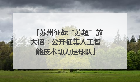 苏州征战“苏超”放大招：公开征集人工智能技术助力足球队
