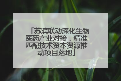 苏滨联动深化生物医药产业对接，精准匹配技术资本资源推动项目落地
