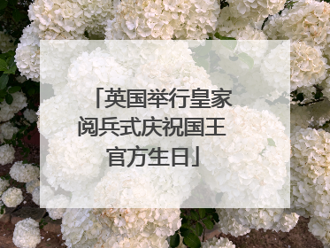 英国举行皇家阅兵式庆祝国王官方生日