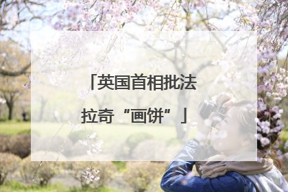 英国首相批法拉奇“画饼”
