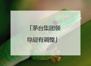 茅台集团领导层有调整