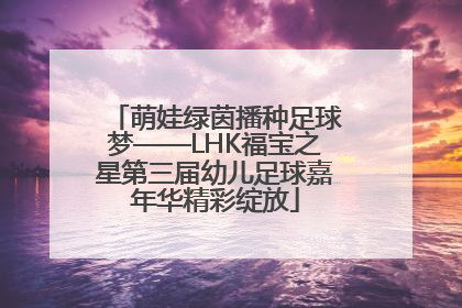 萌娃绿茵播种足球梦——LHK福宝之星第三届幼儿足球嘉年华精彩绽放
