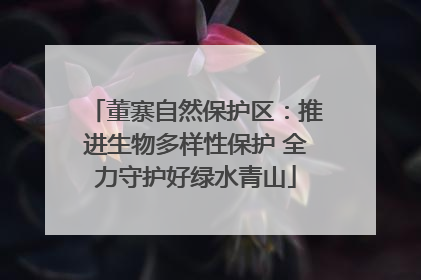 董寨自然保护区：推进生物多样性保护 全力守护好绿水青山