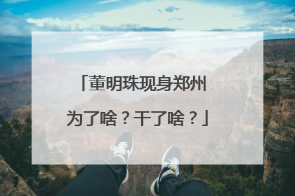 董明珠现身郑州 为了啥？干了啥？